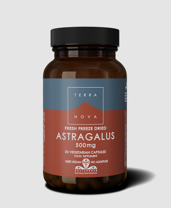 Astragalus 500mg